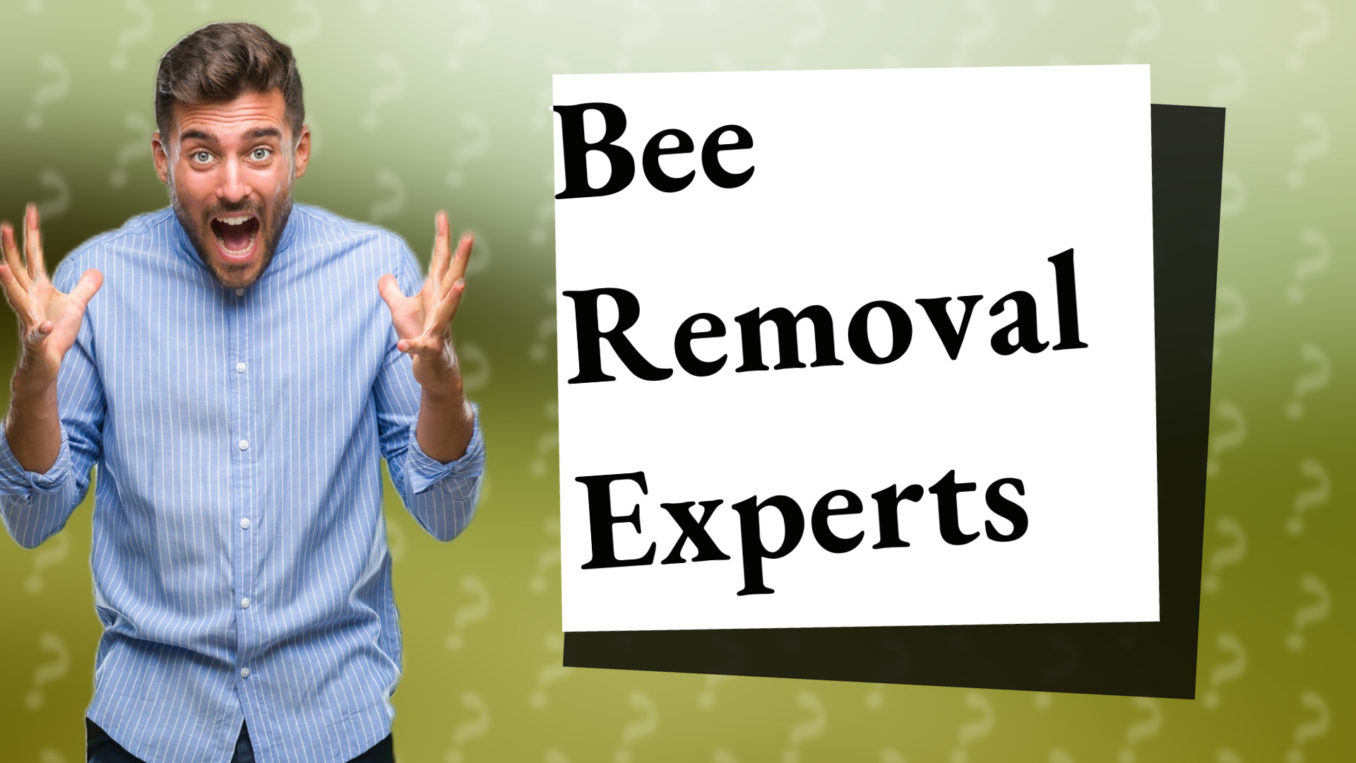 Bee Removal Experts