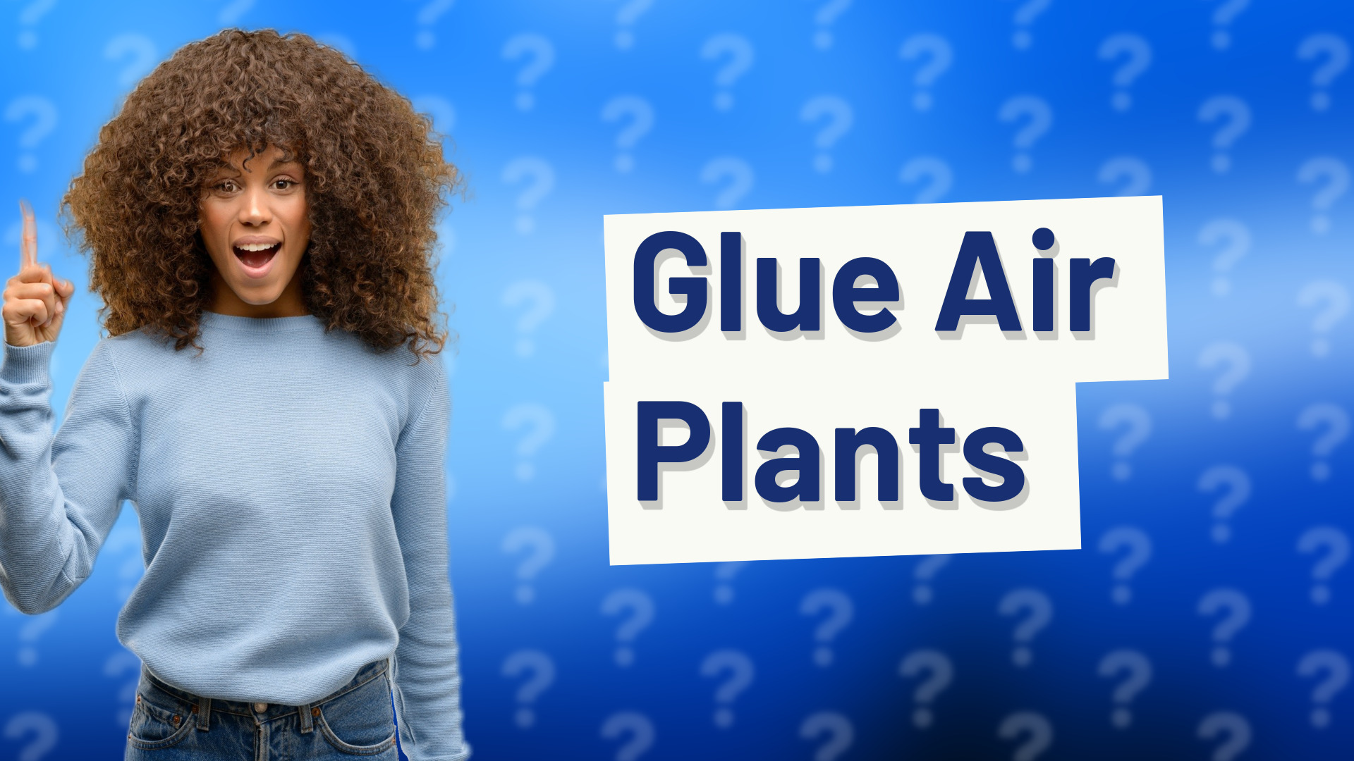 Glue Air Plants