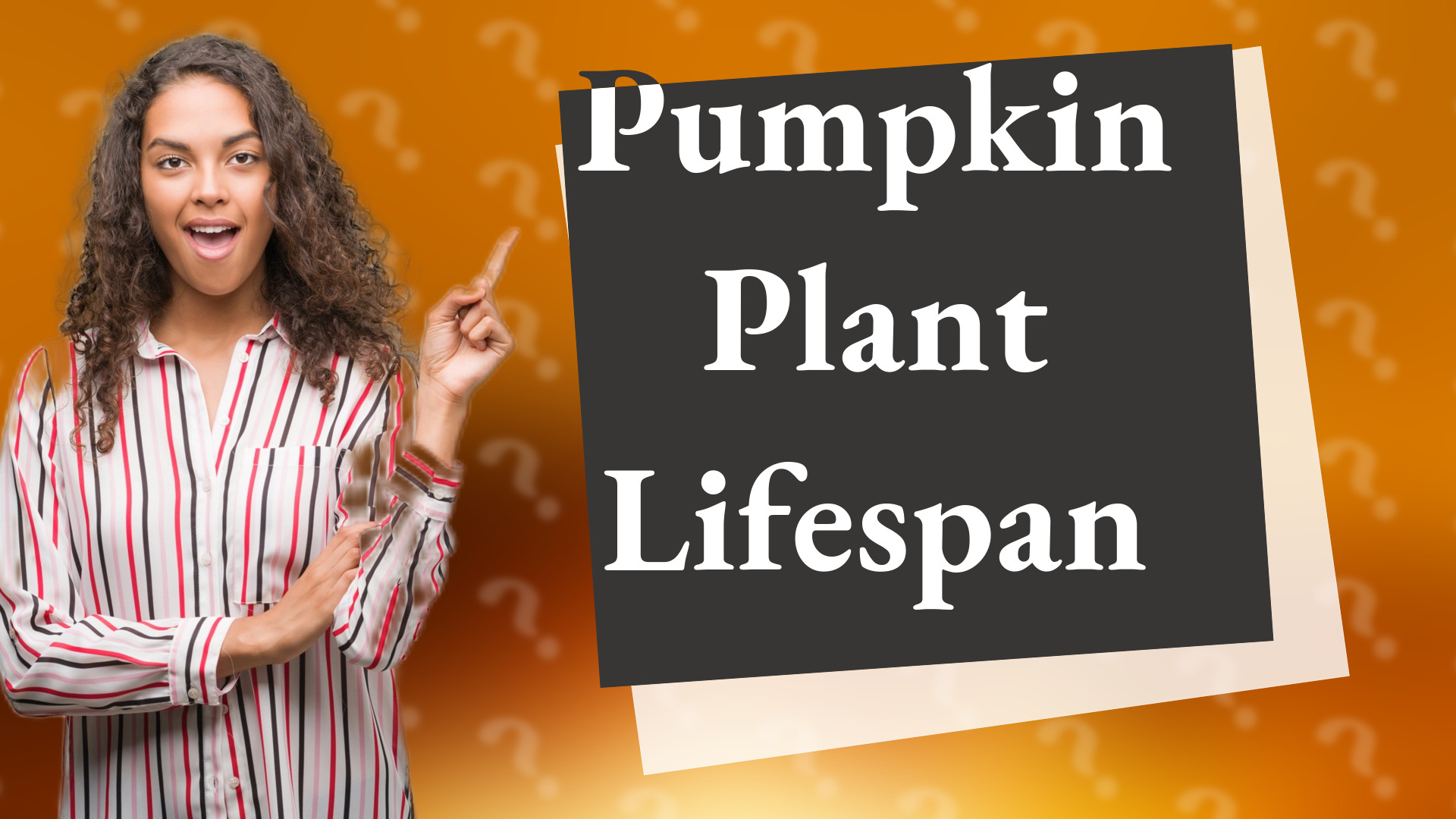 Pumpkin Plant Lifespan
