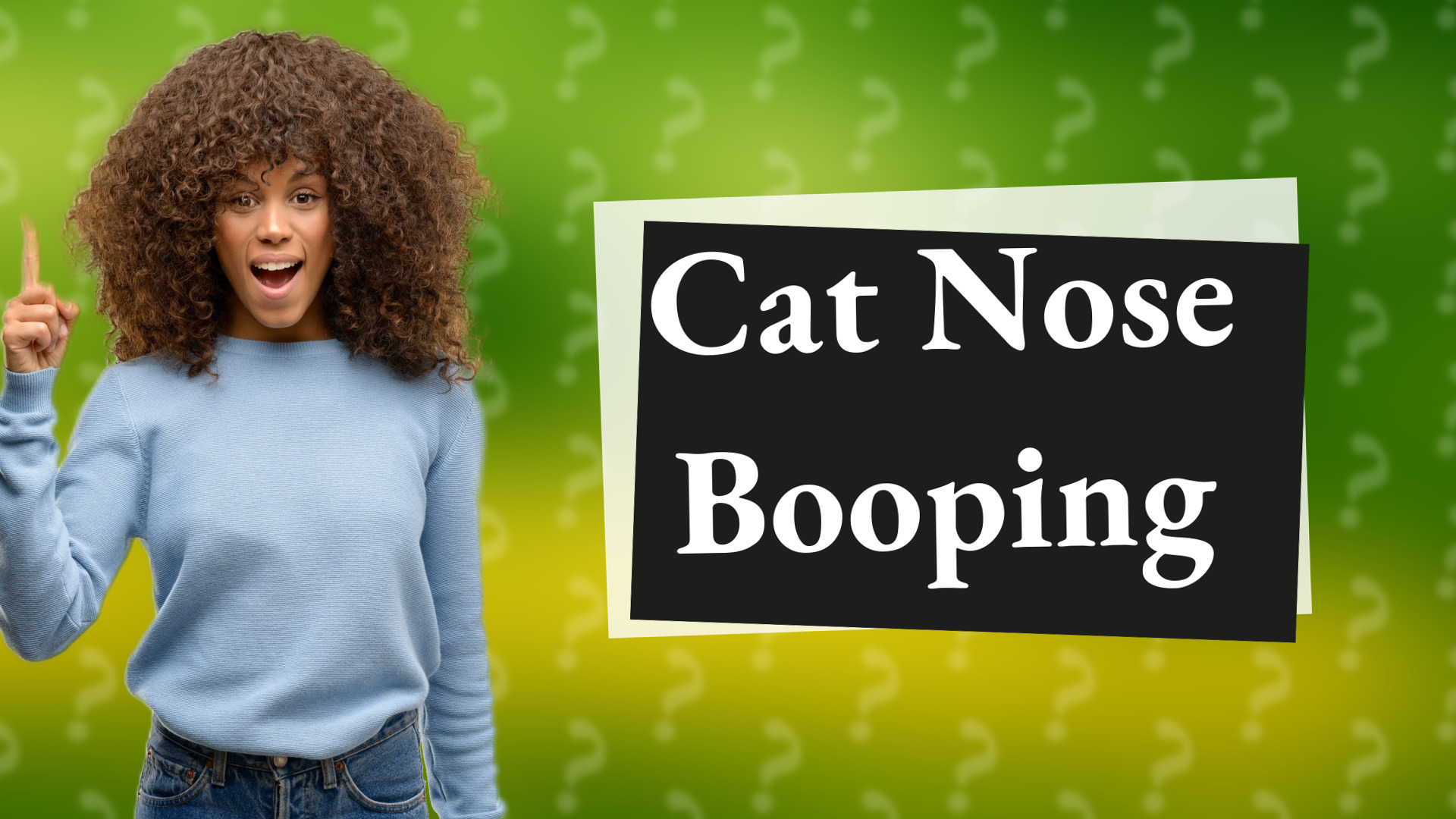 Cat Nose Booping