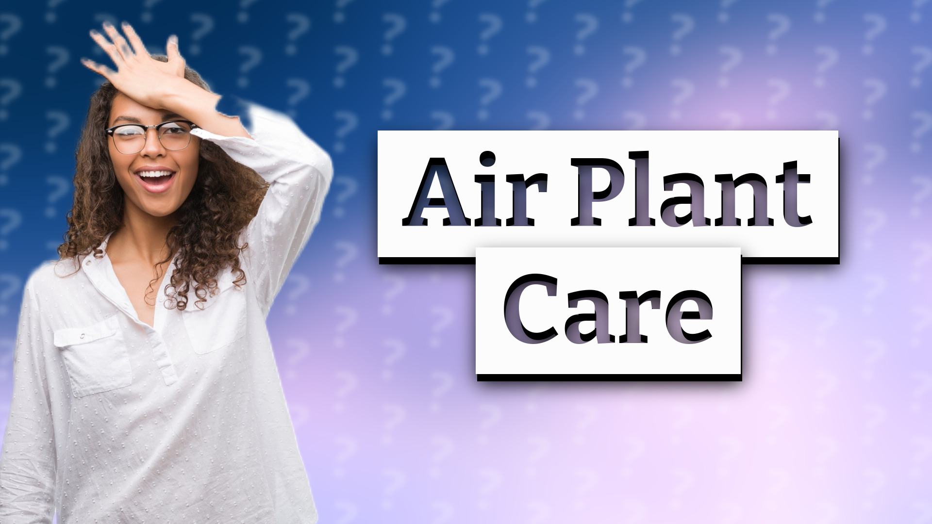 Air Plant Care