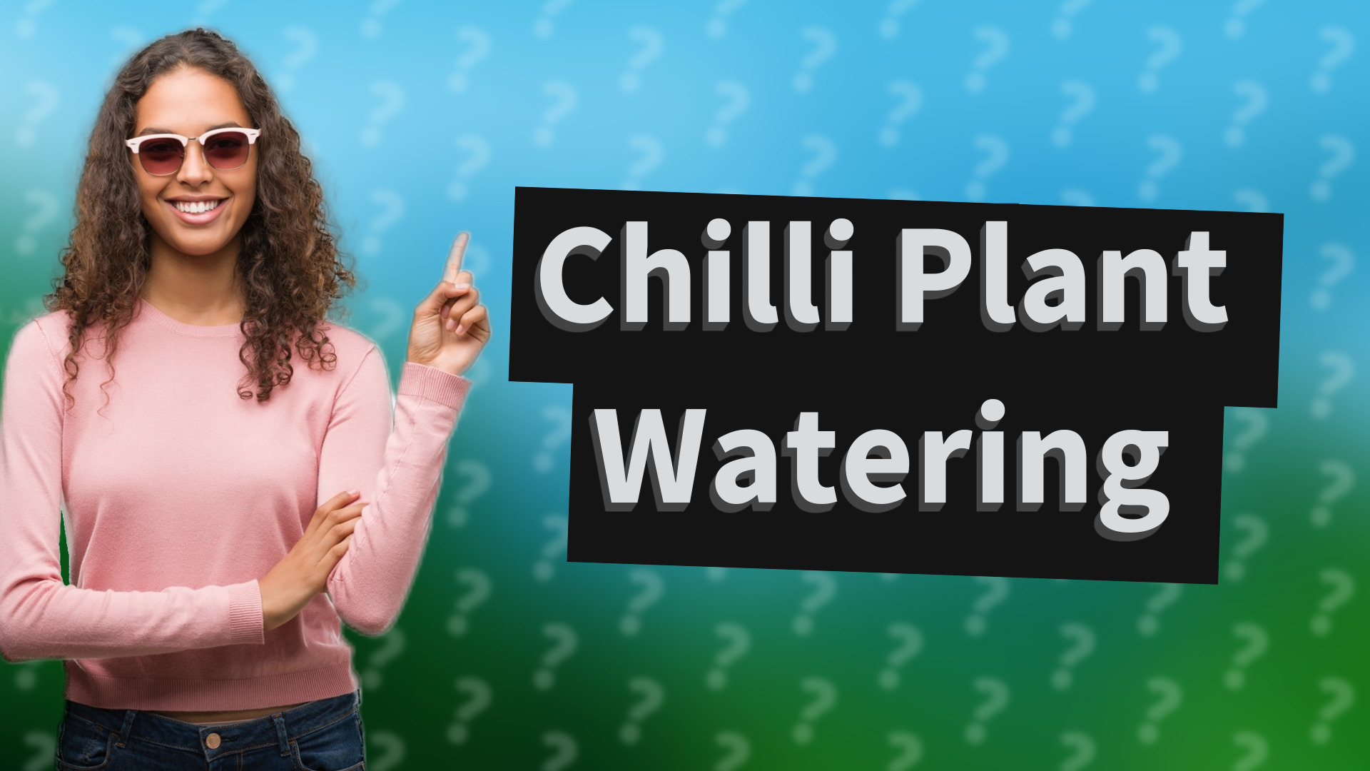 Chilli Plant Watering
