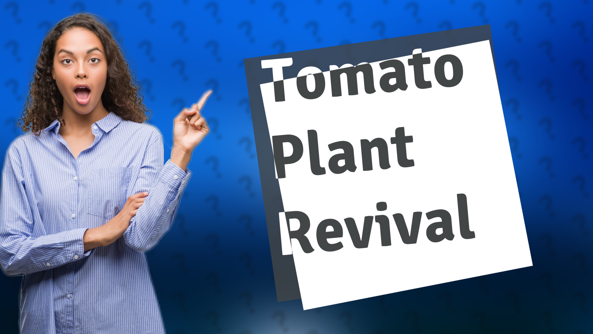 Tomato Plant Revival