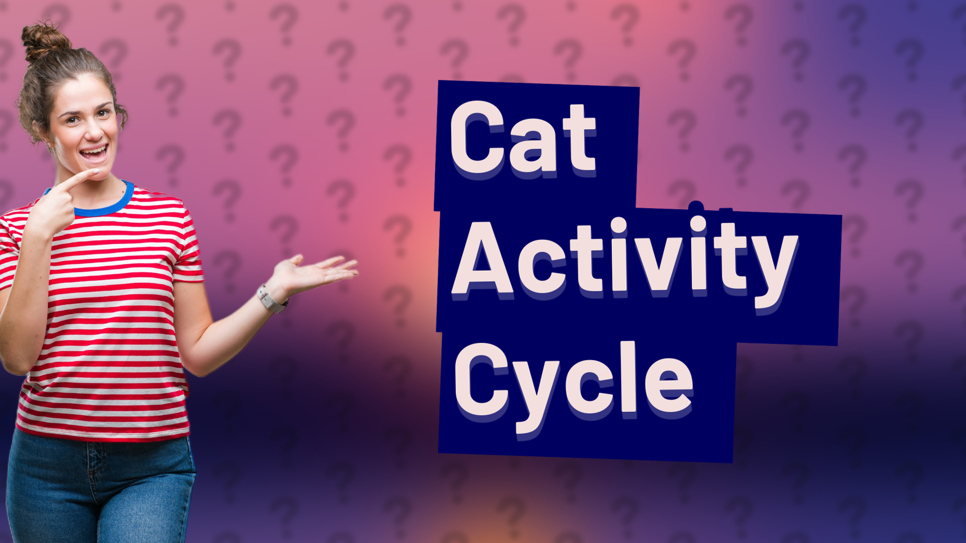 Cat Activity Cycle