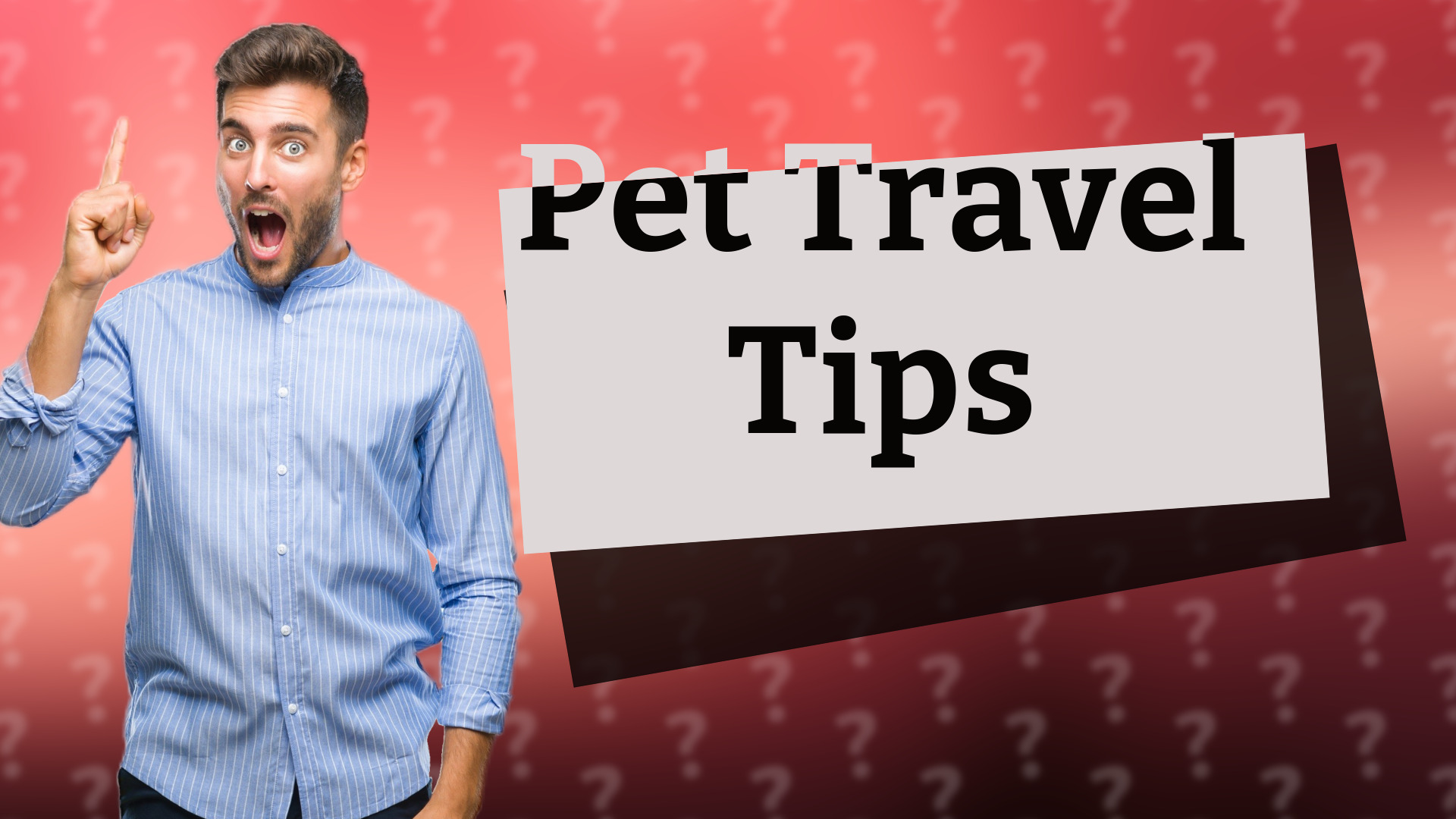 Pet Travel Tips