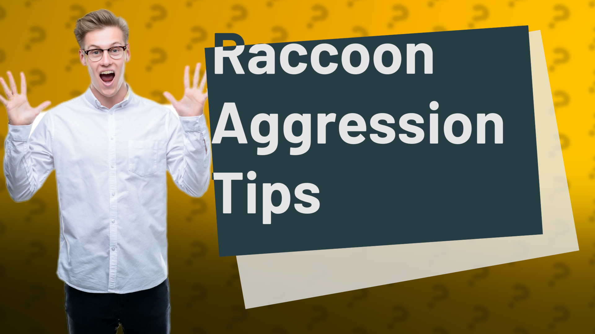 Raccoon Aggression Tips