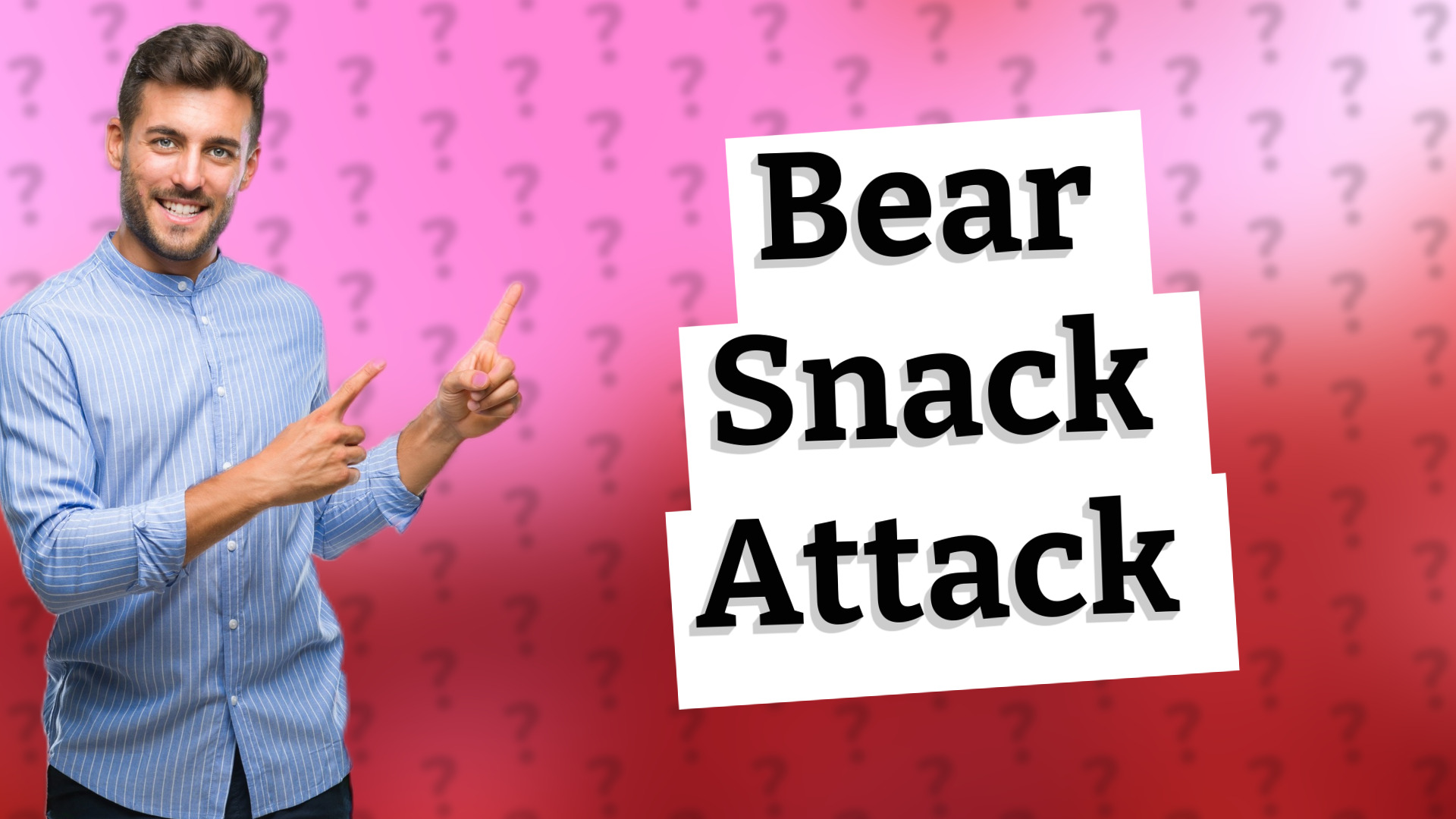 Bear Snack Attack