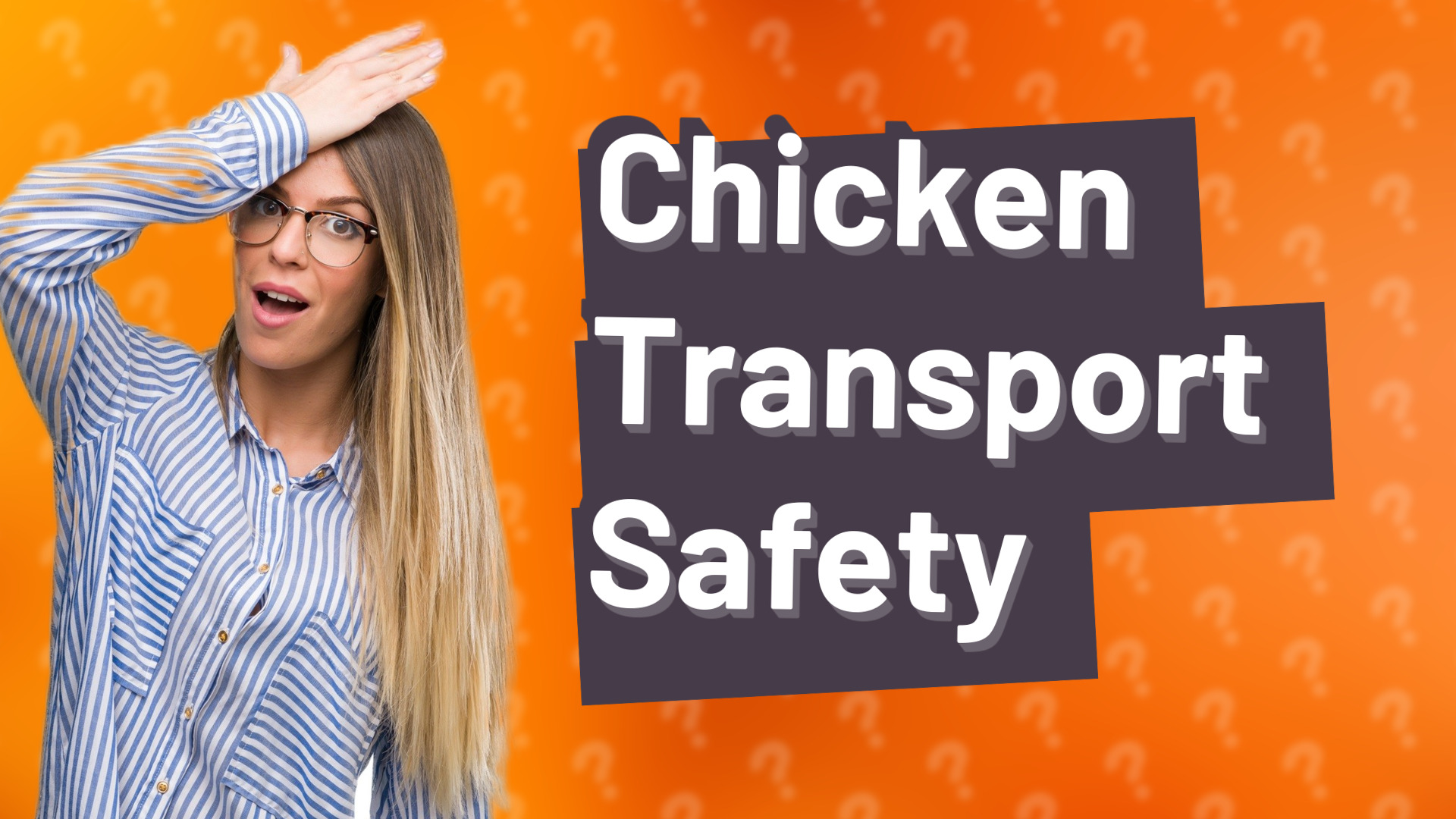 Chicken Transport Safety