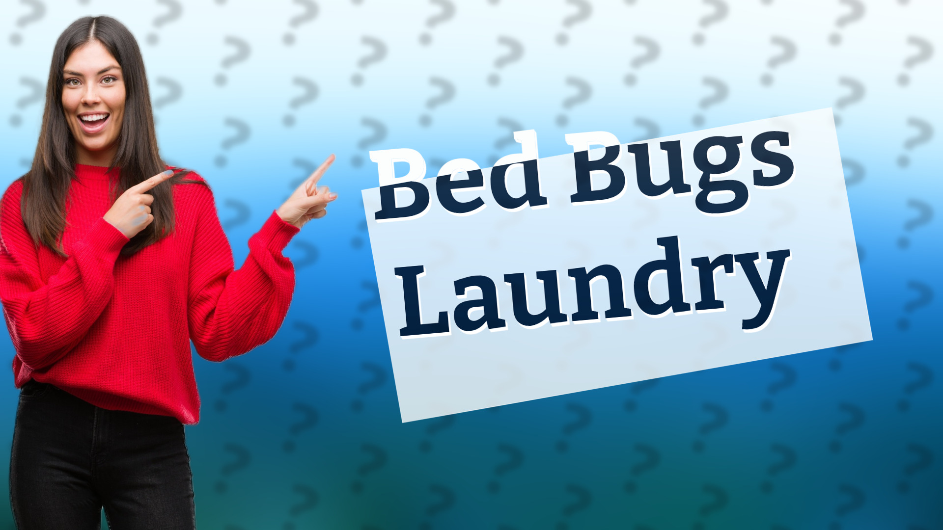 Bed Bugs Laundry