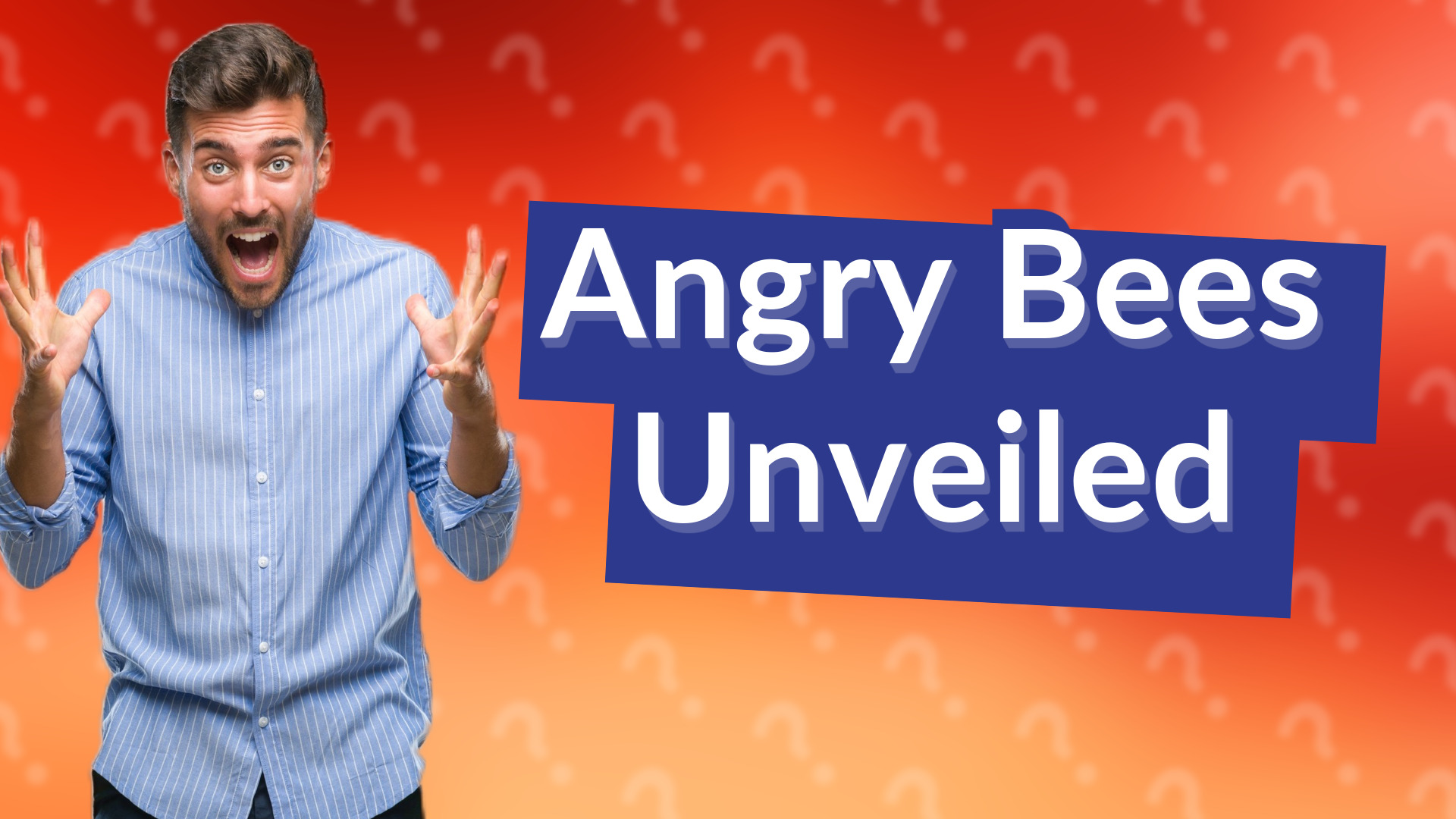 Angry Bees Unveiled