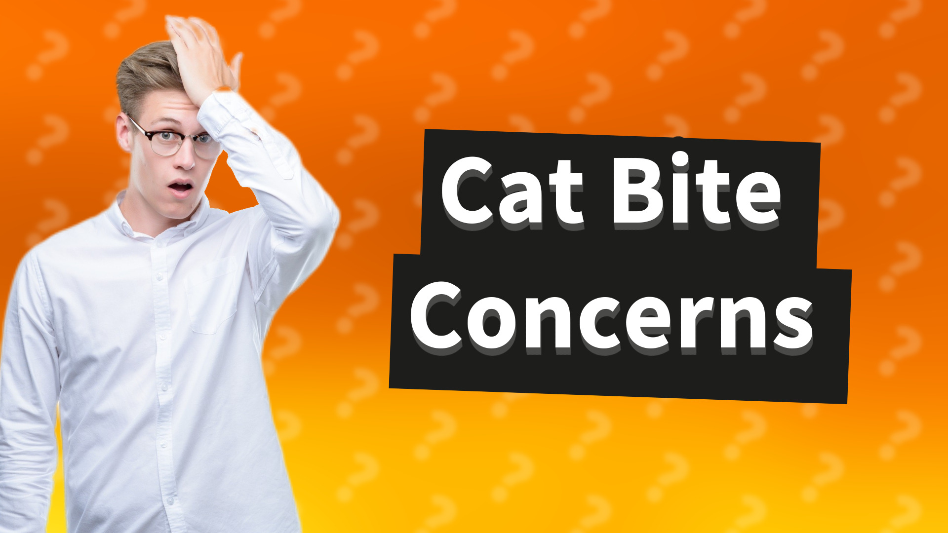 Cat Bite Concerns