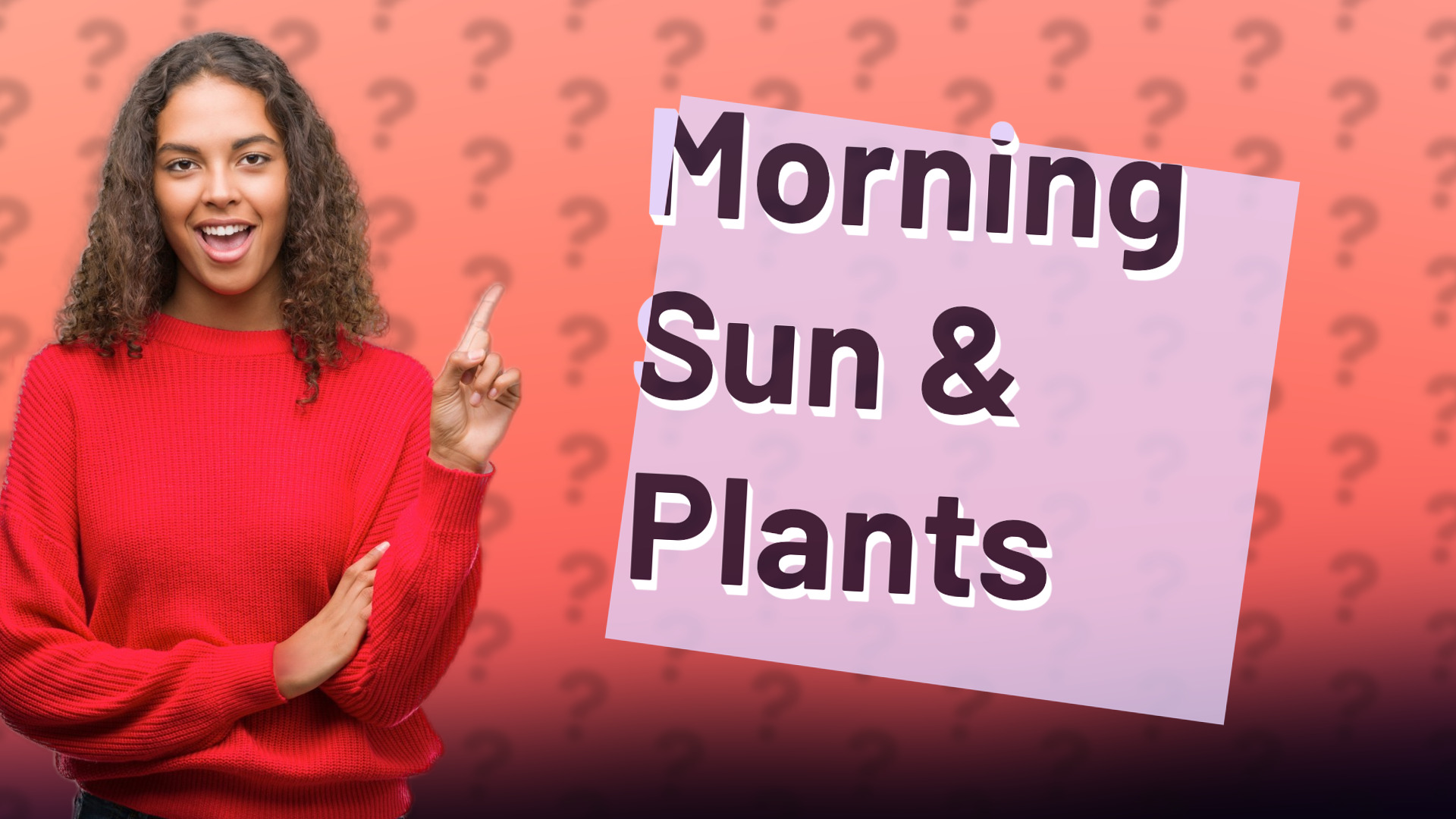 Morning Sun & Plants