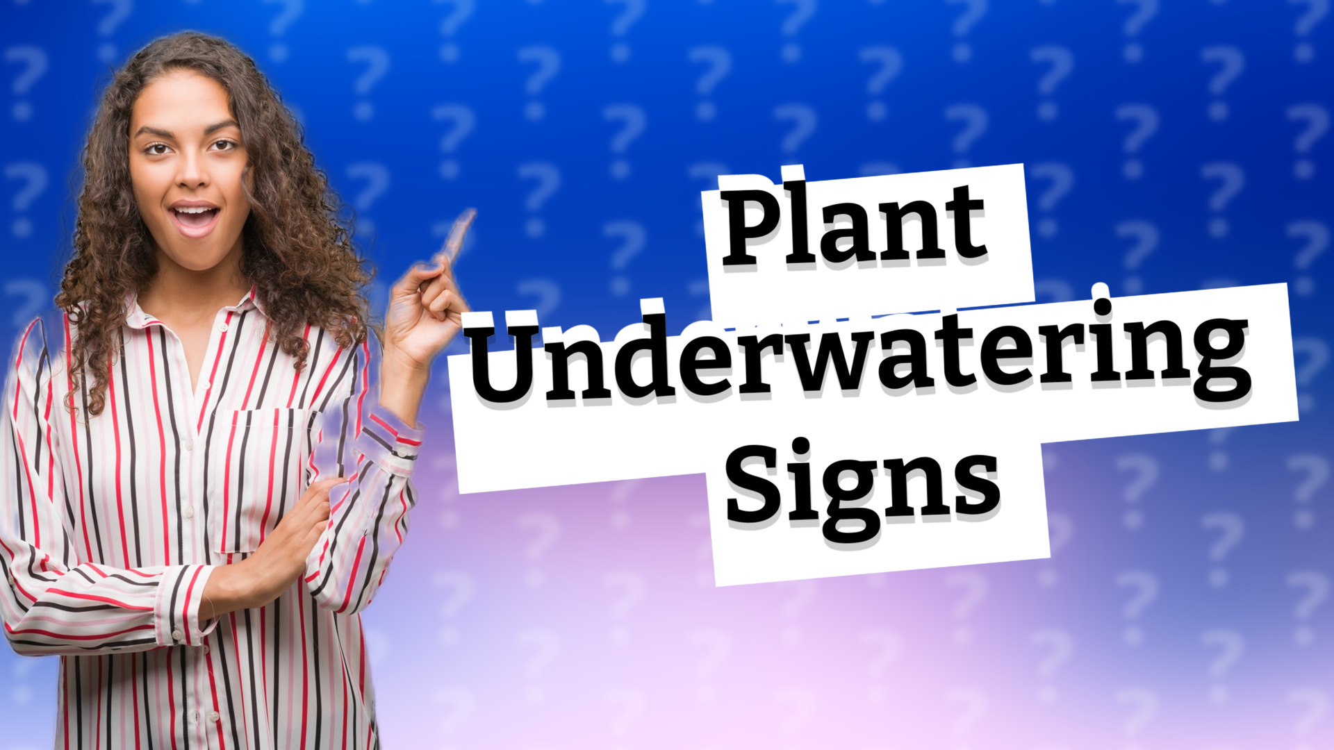Plant Underwatering Signs