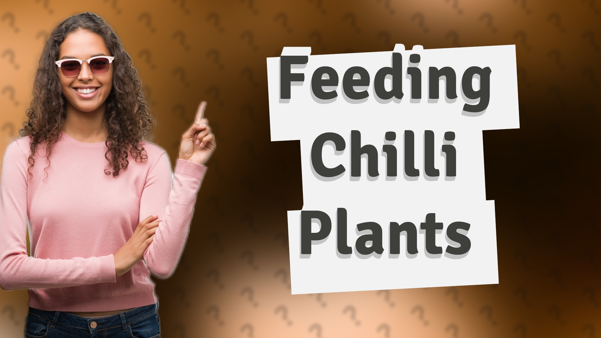 Feeding Chilli Plants