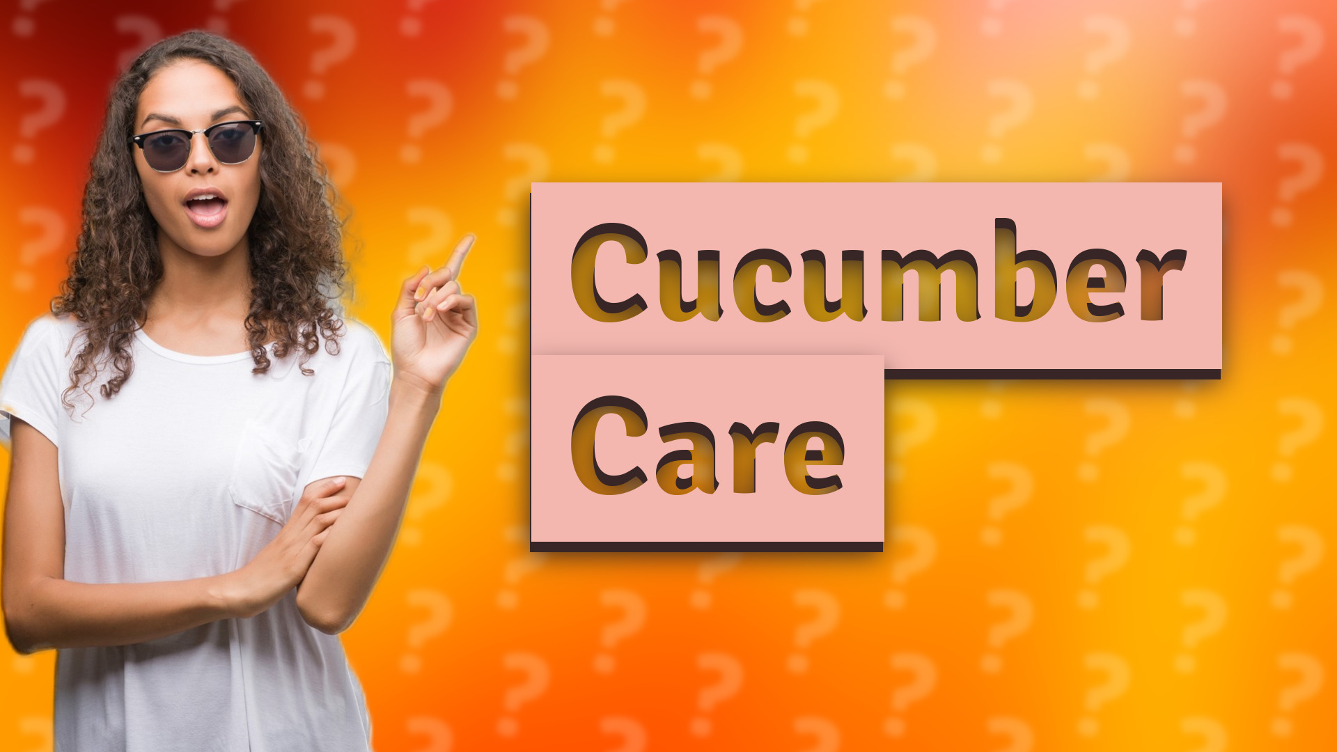 Cucumber Care