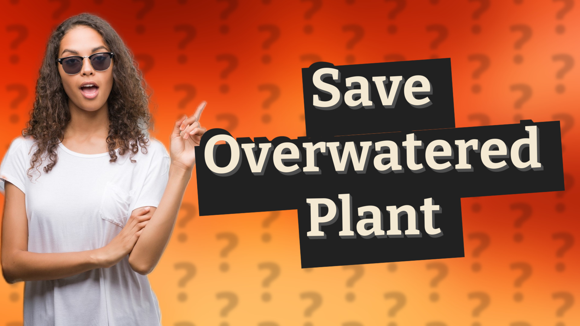 Save Overwatered Plant