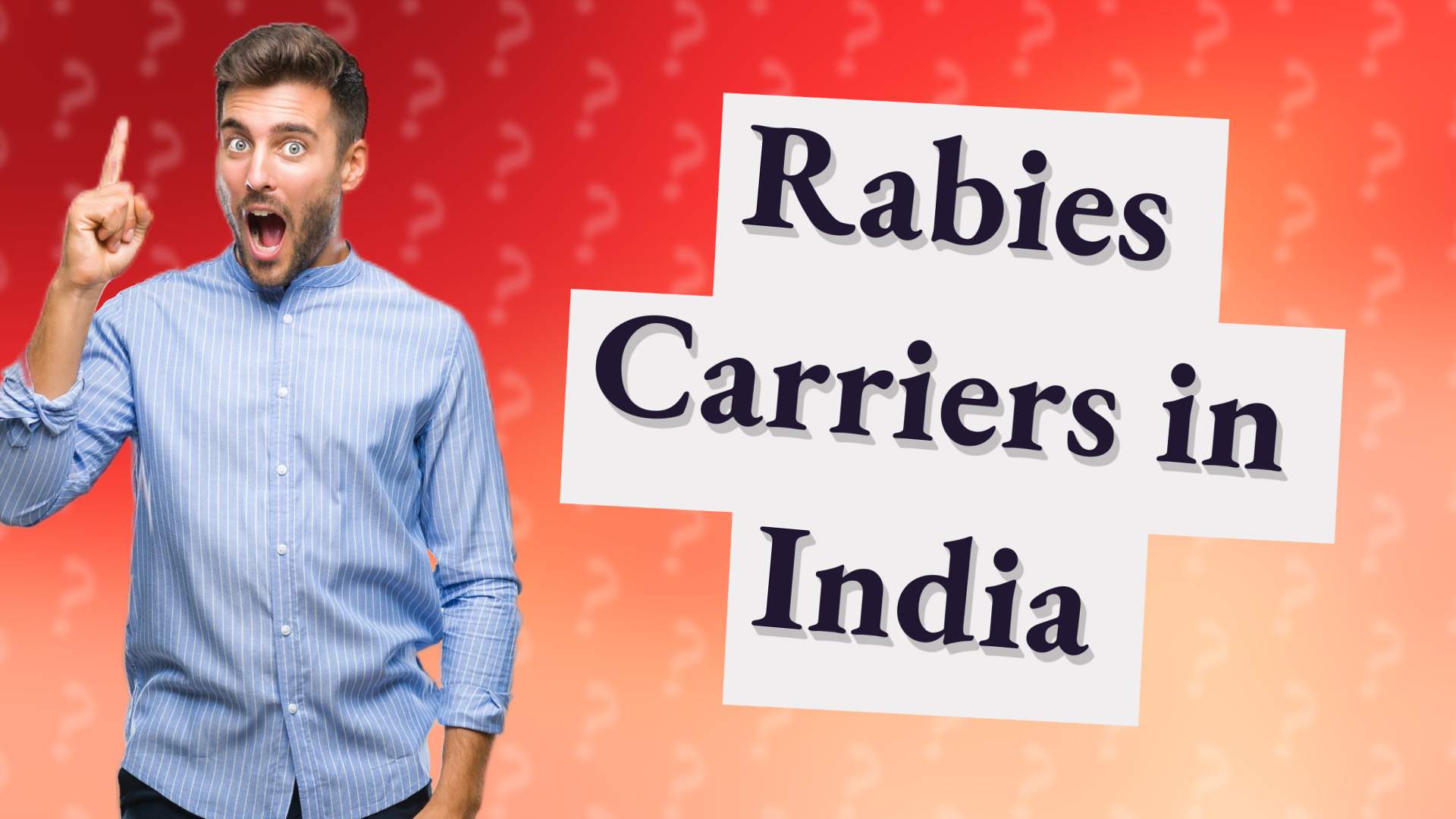 Rabies Carriers in India