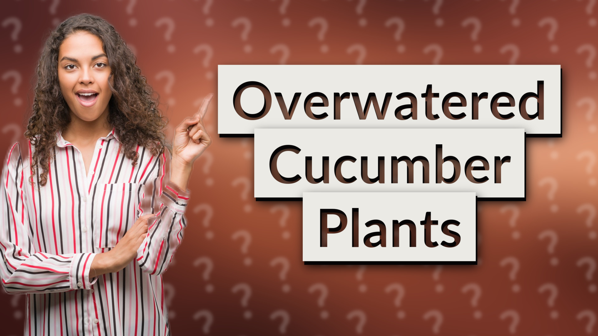 Overwatered Cucumber Plants