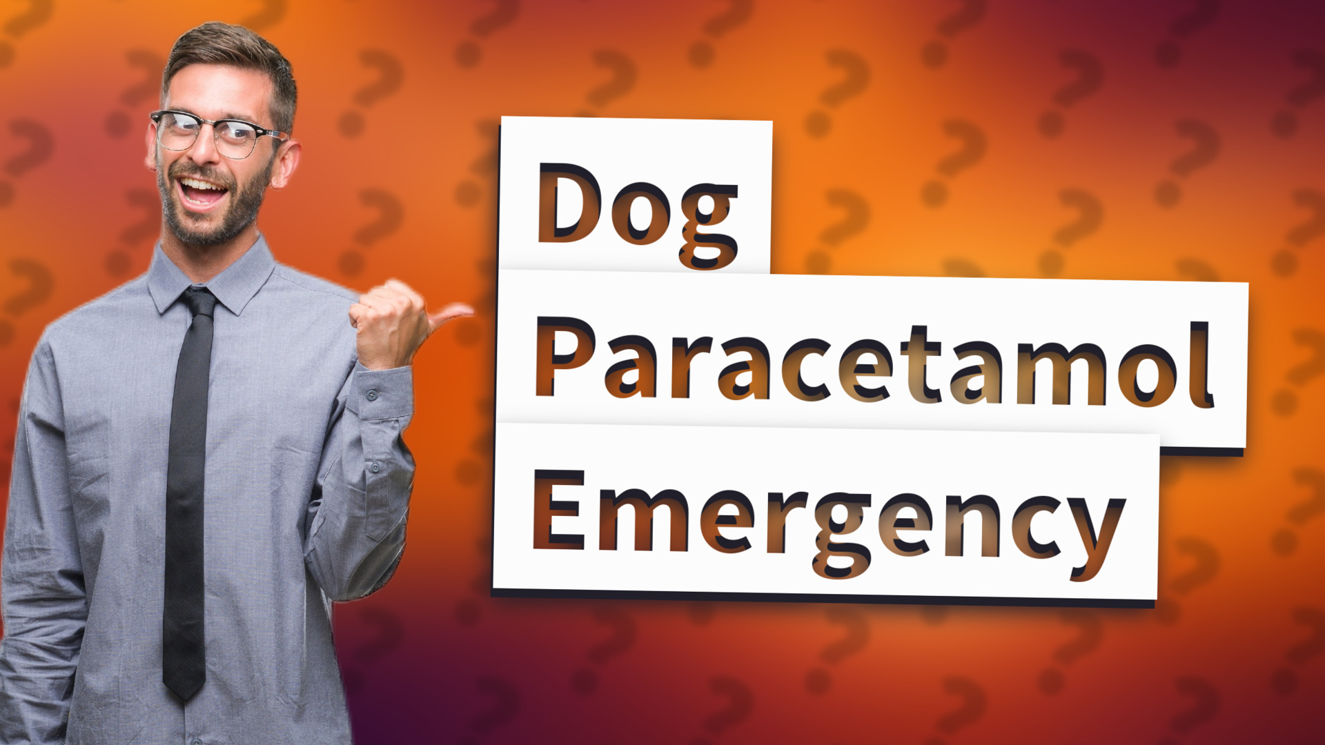Dog Paracetamol Emergency