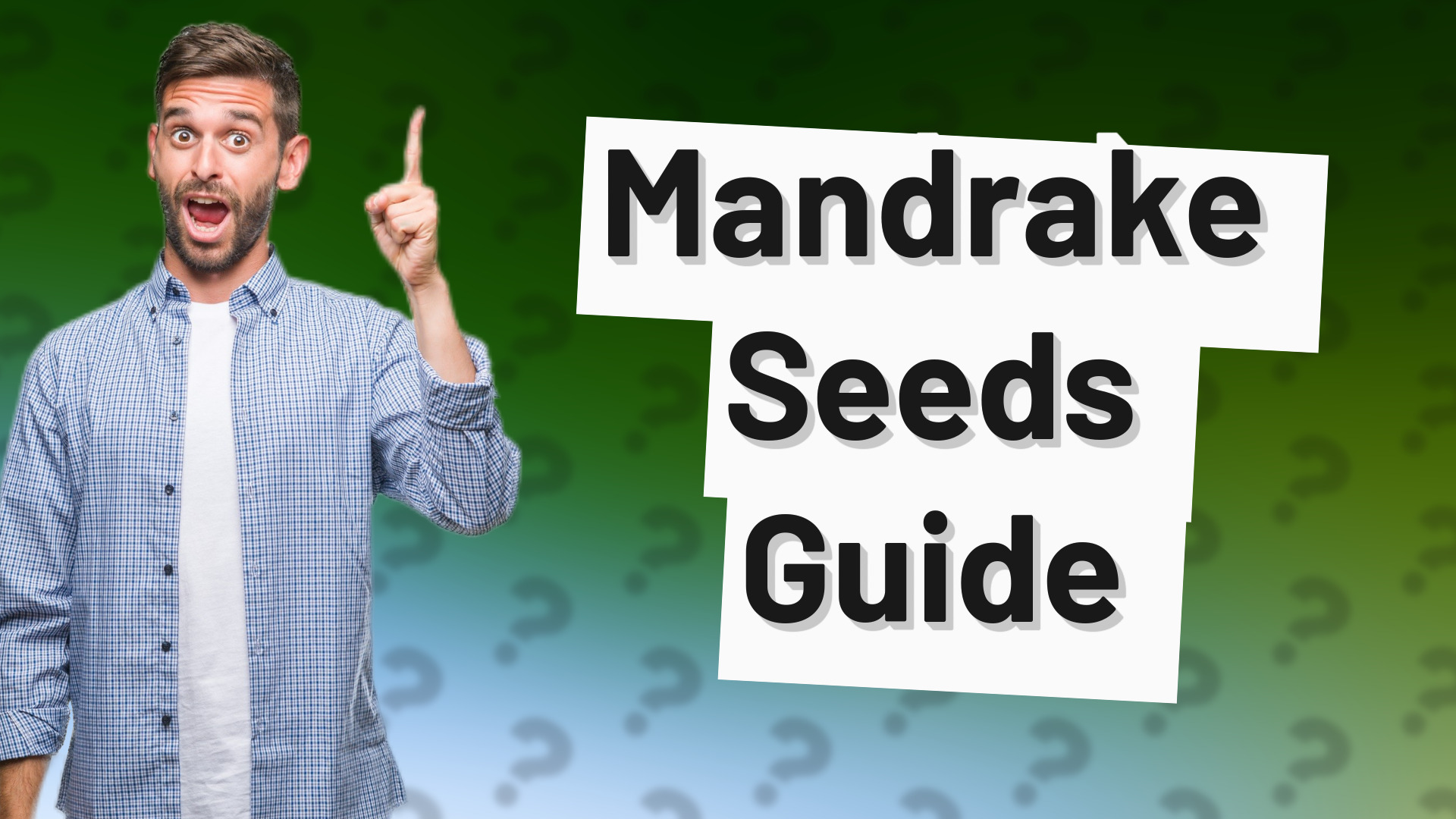 Mandrake Seeds Guide