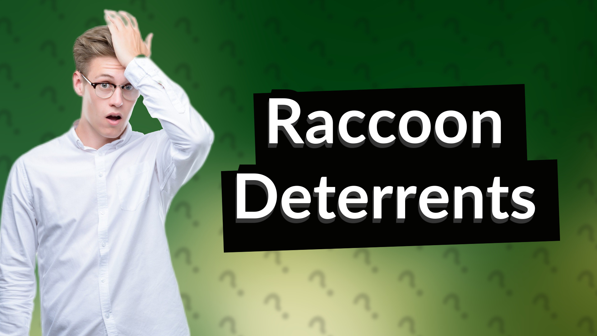 Raccoon Deterrents