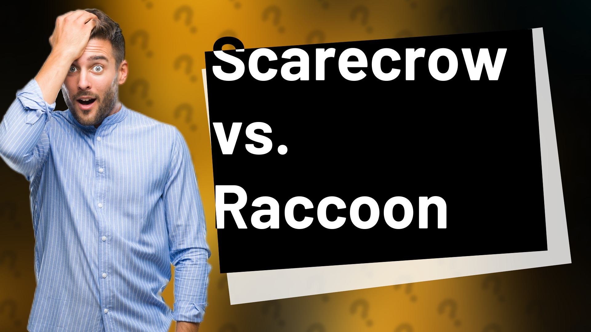 Scarecrow vs. Raccoon