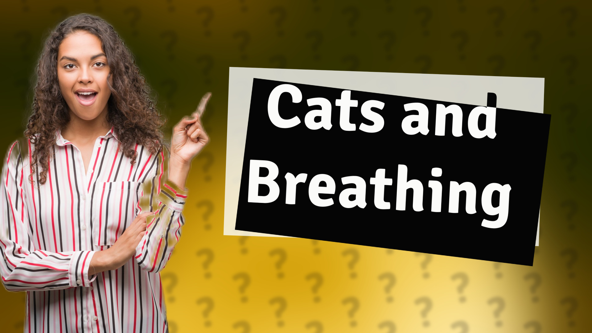 Cats and Breathing