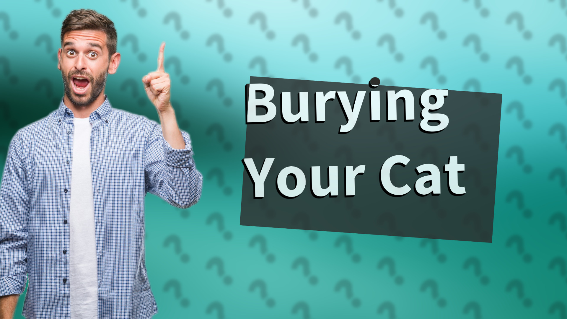 Burying Your Cat
