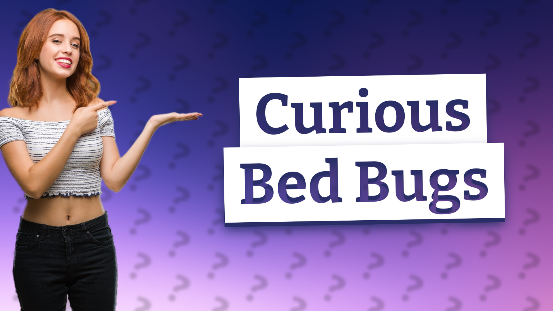 Curious Bed Bugs