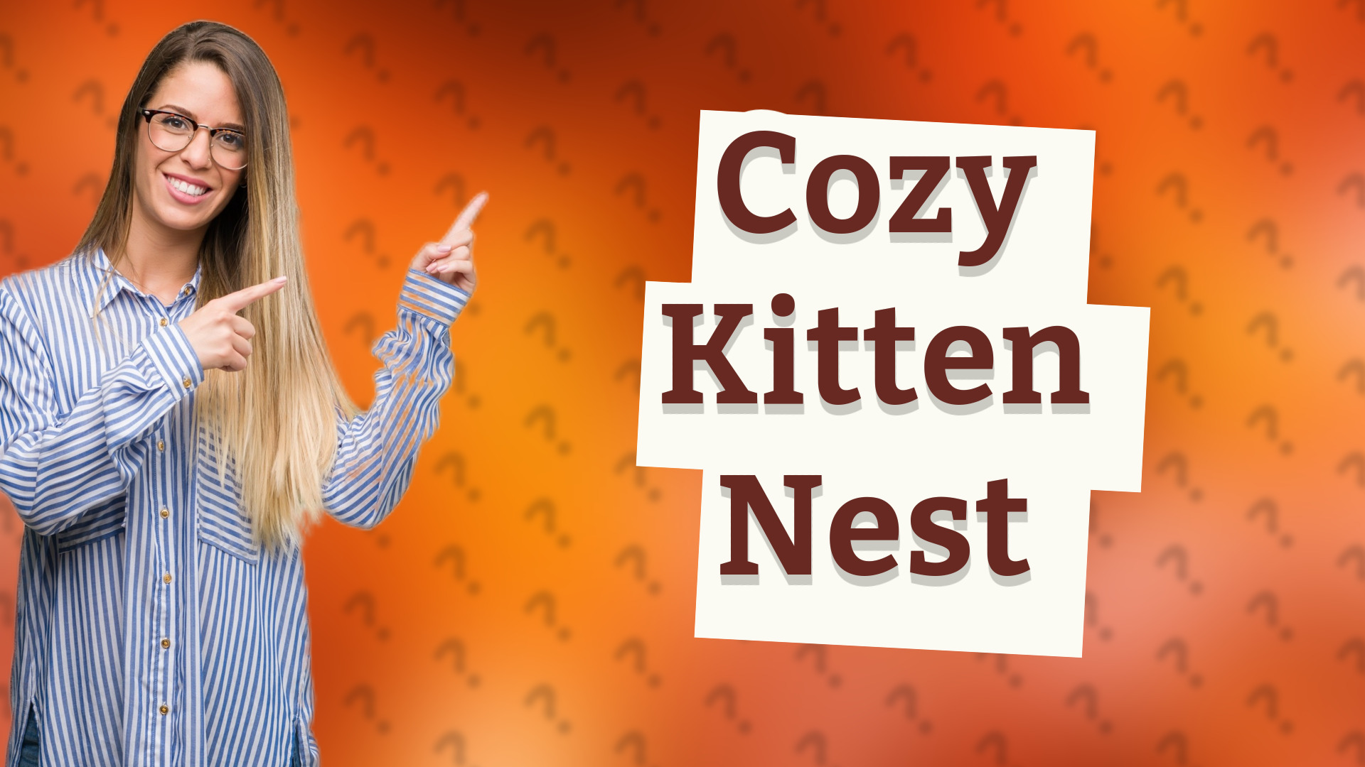 Cozy Kitten Nest