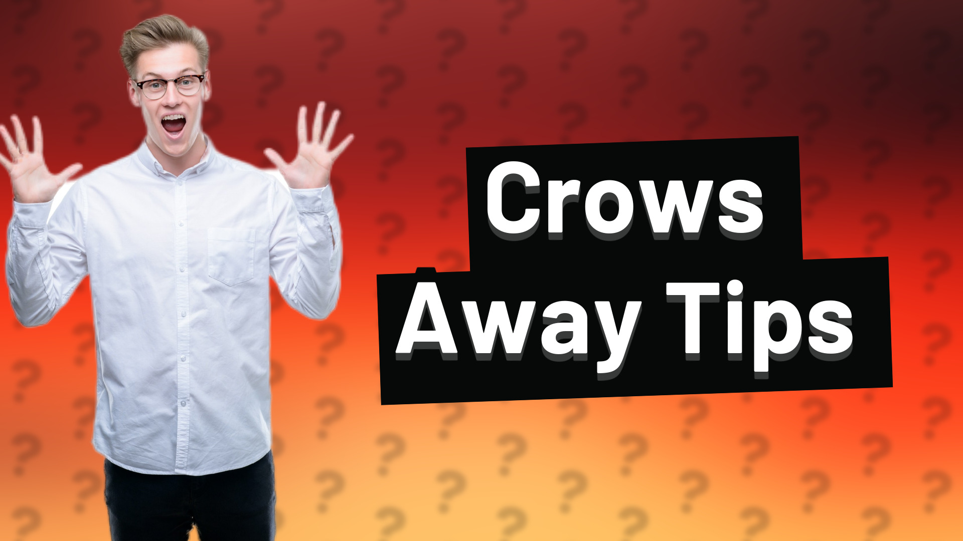 Crows Away Tips