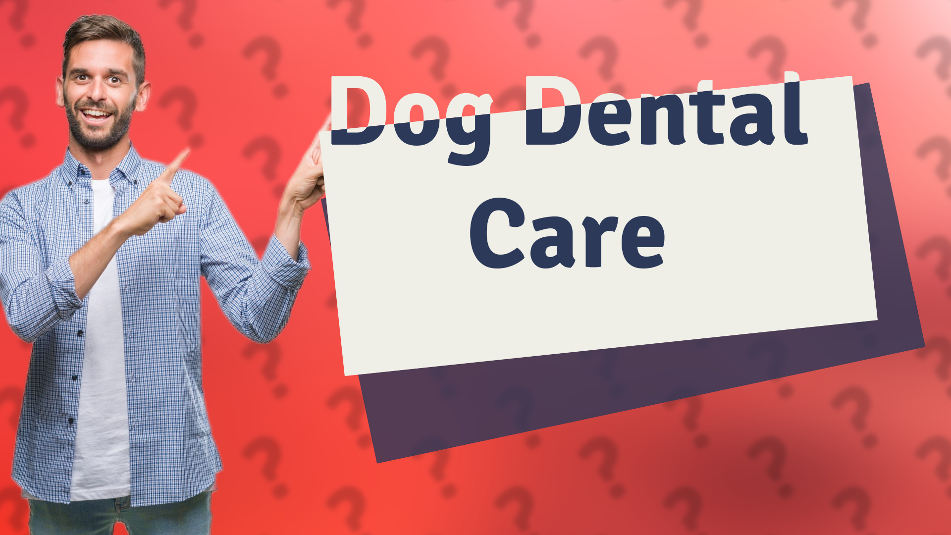 Dog Dental Care