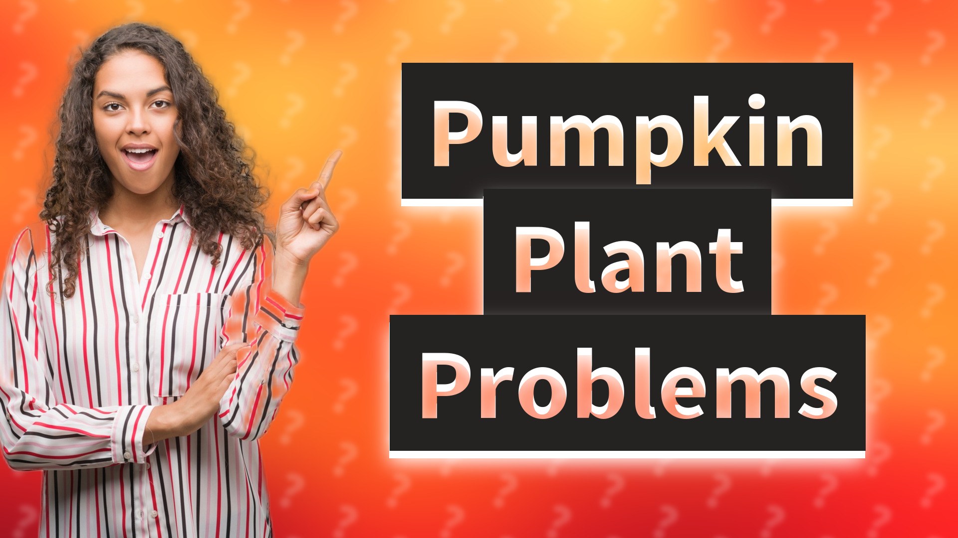 Pumpkin Plant Problems