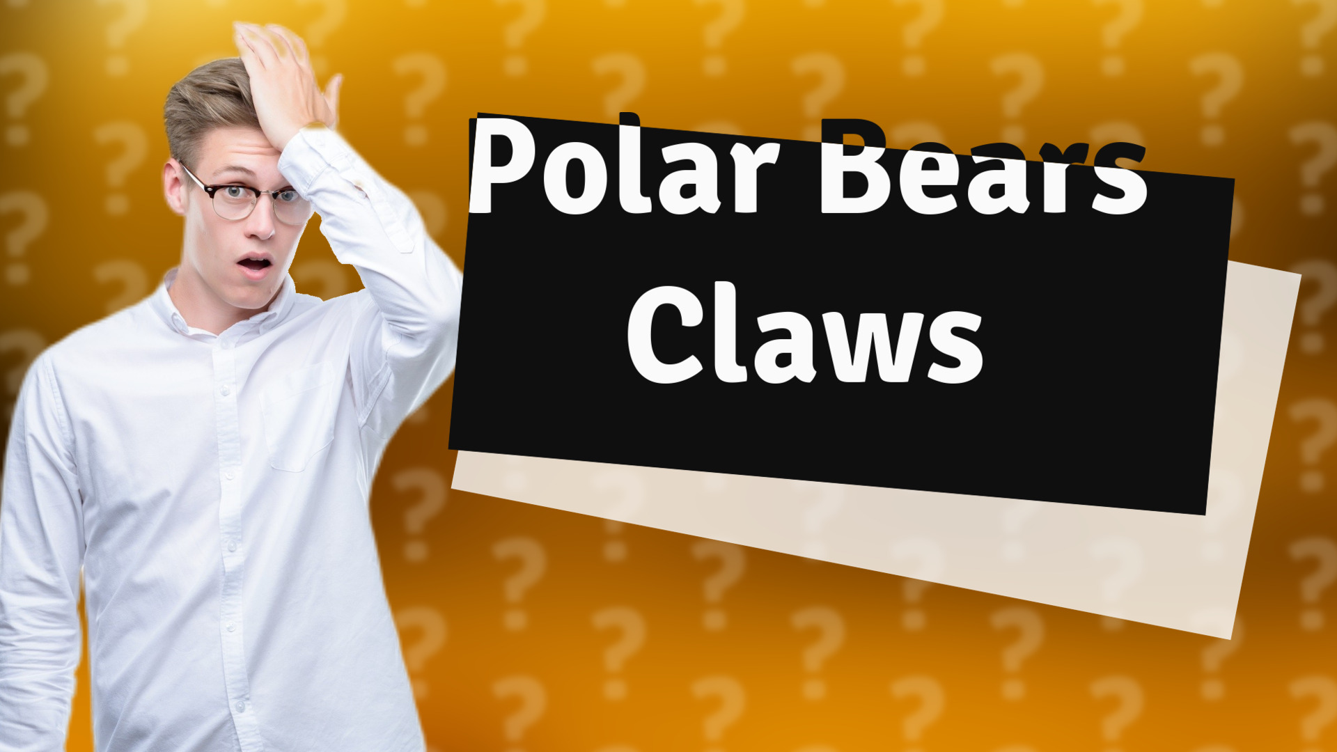 Polar Bears Claws