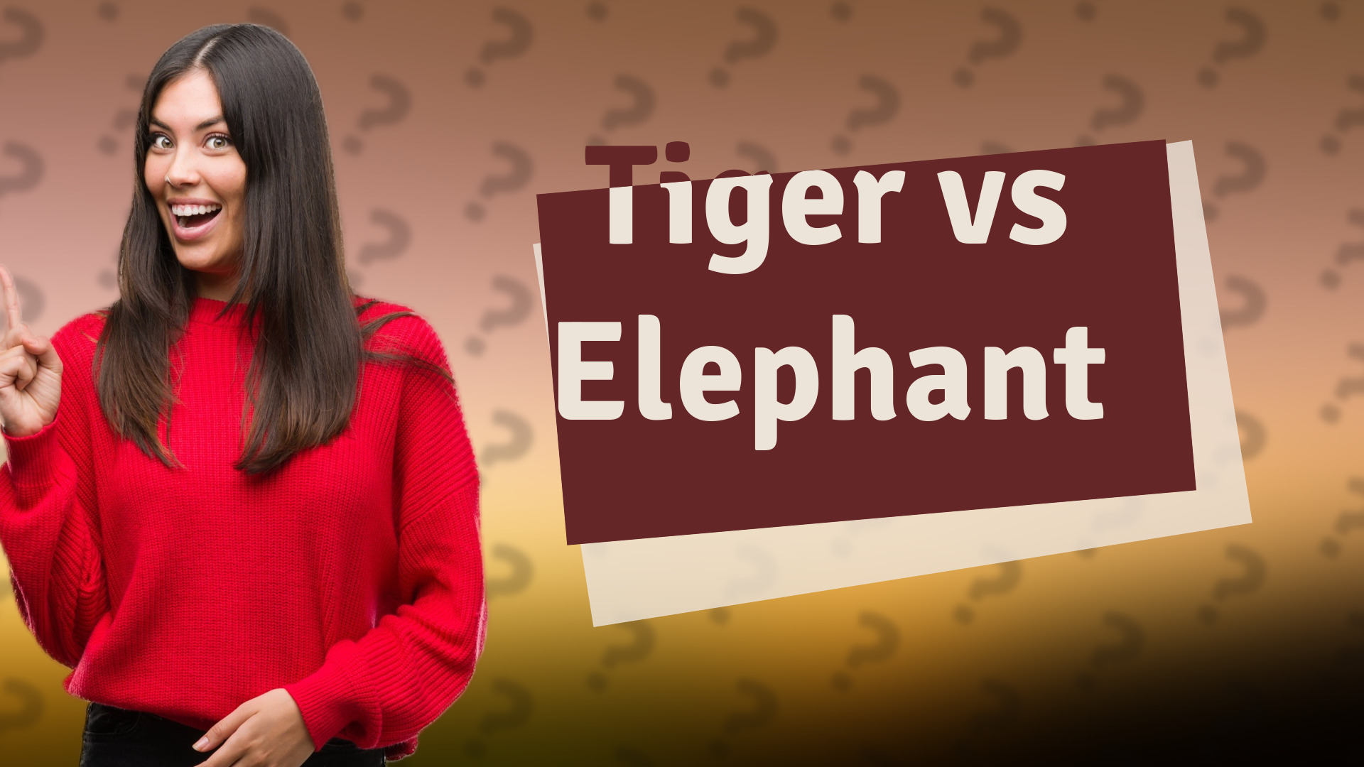 Tiger vs Elephant