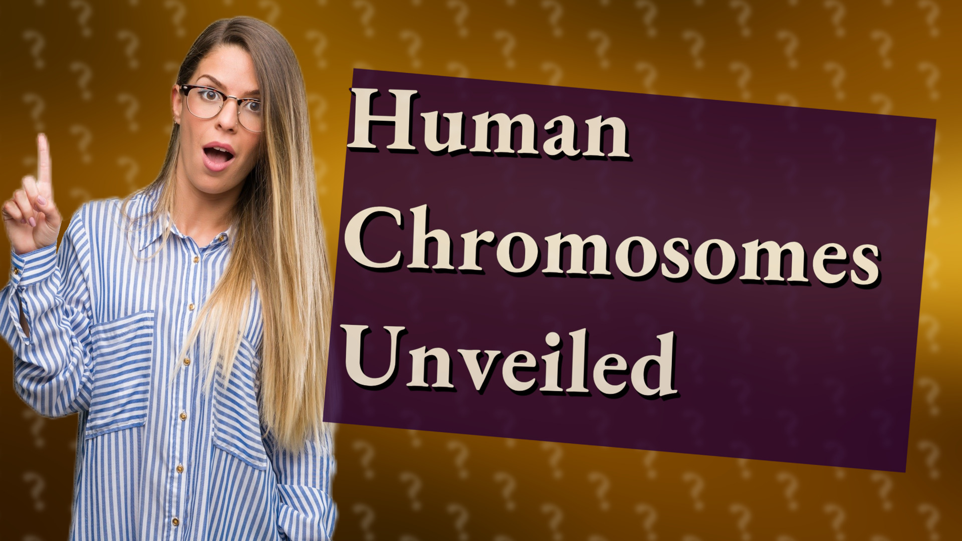 Human Chromosomes Unveiled