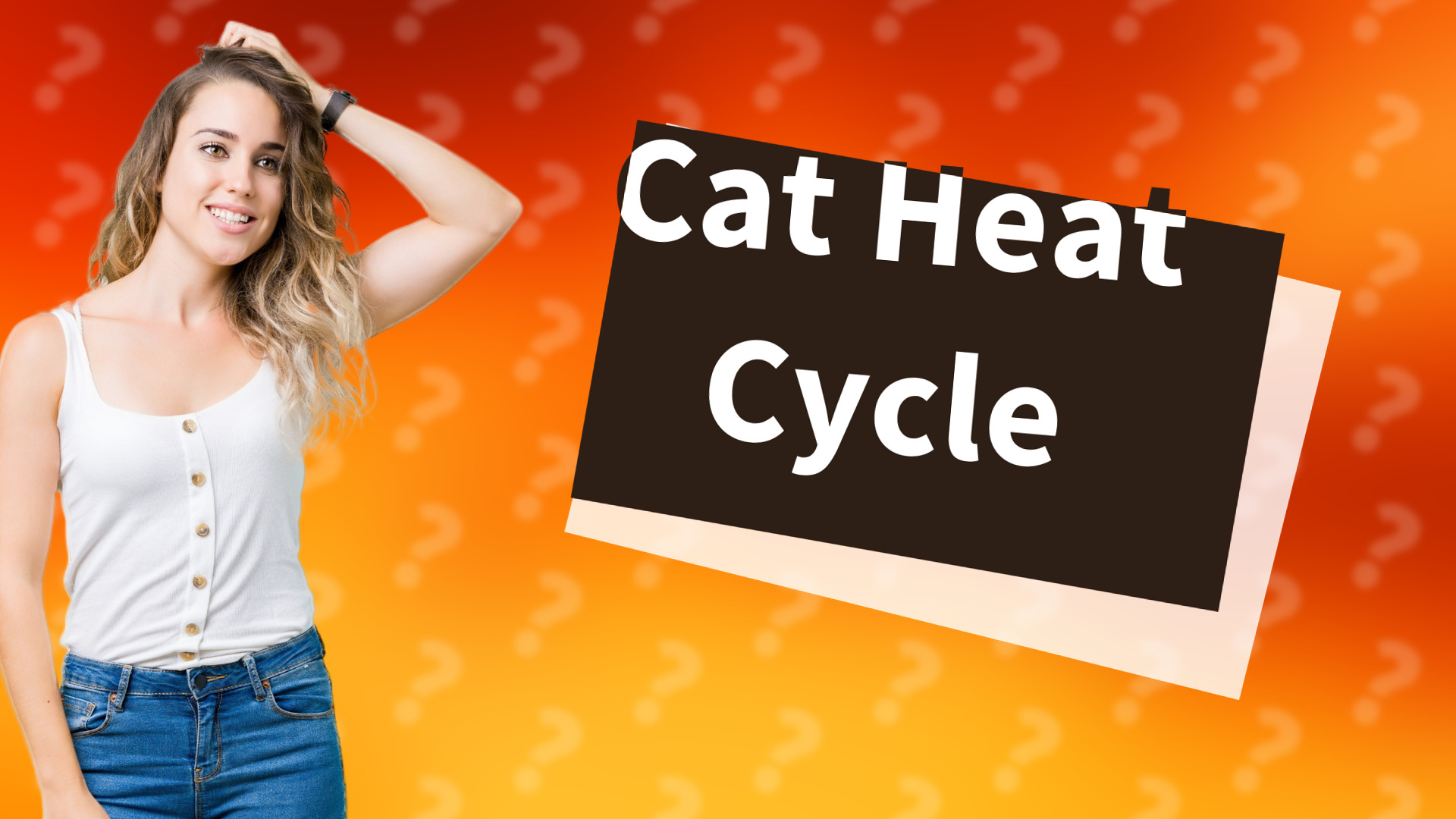 Cat Heat Cycle