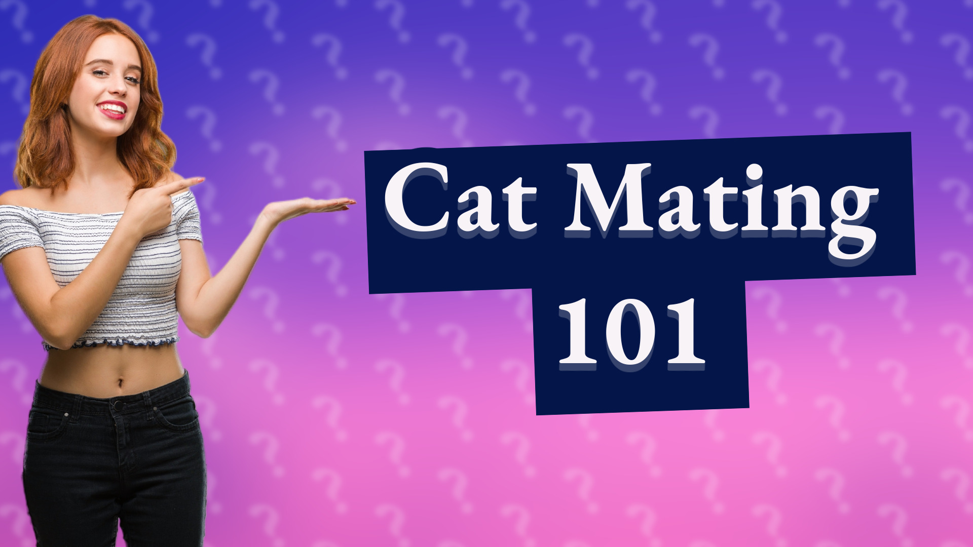 Cat Mating 101