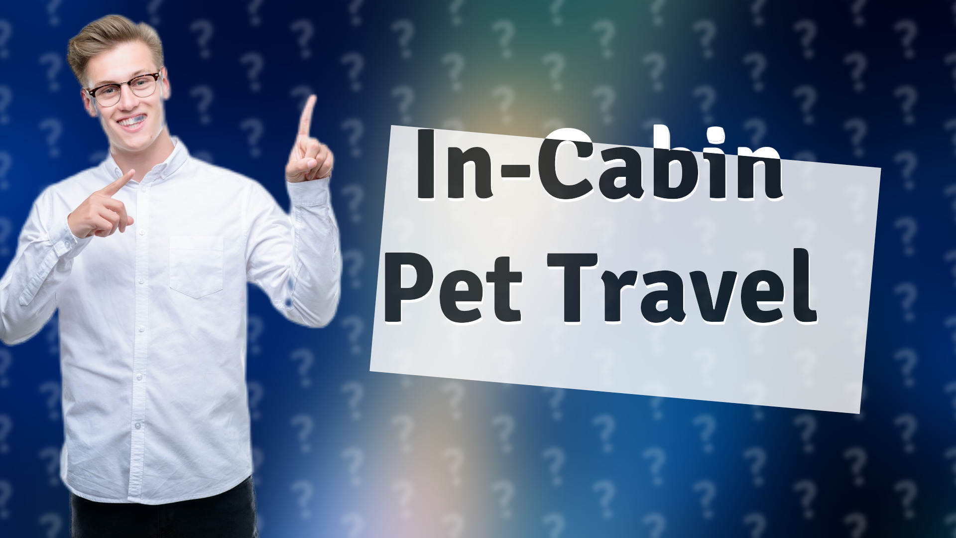 In-Cabin Pet Travel