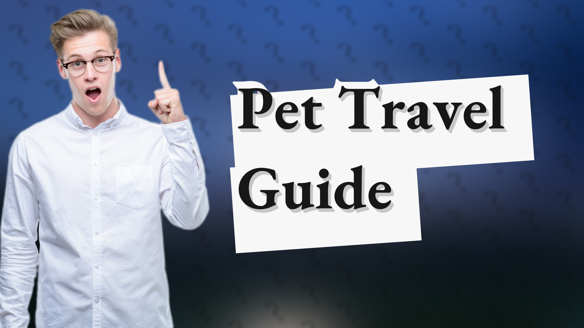Pet Travel Guide