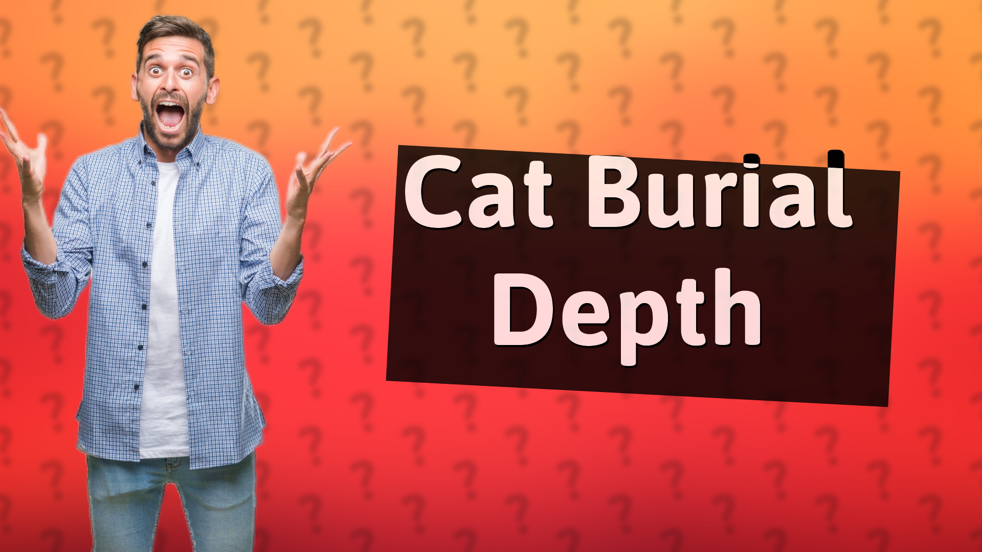Cat Burial Depth