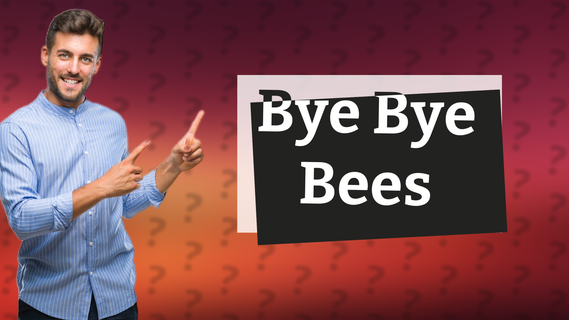 Bye Bye Bees