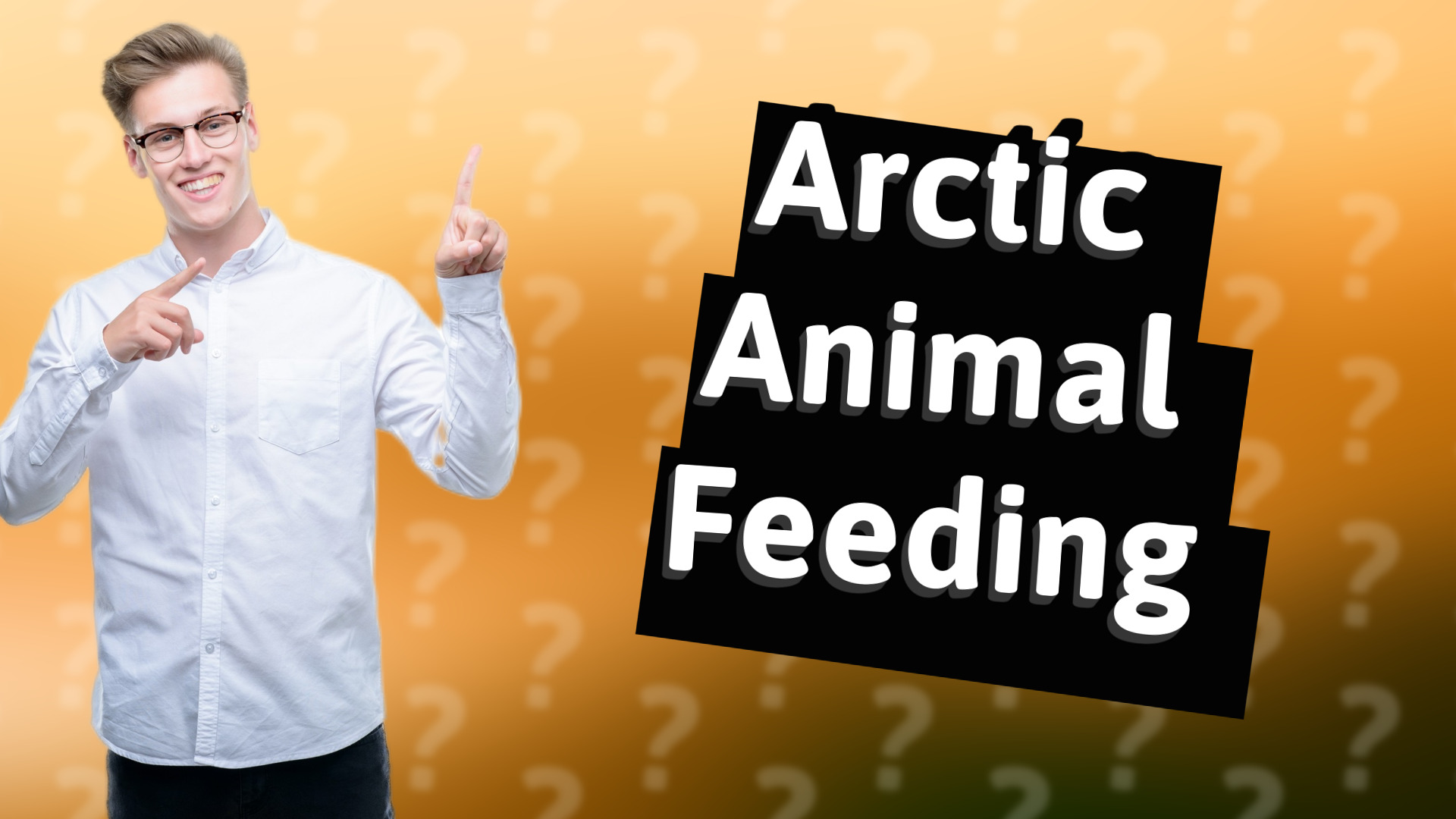 Arctic Animal Feeding