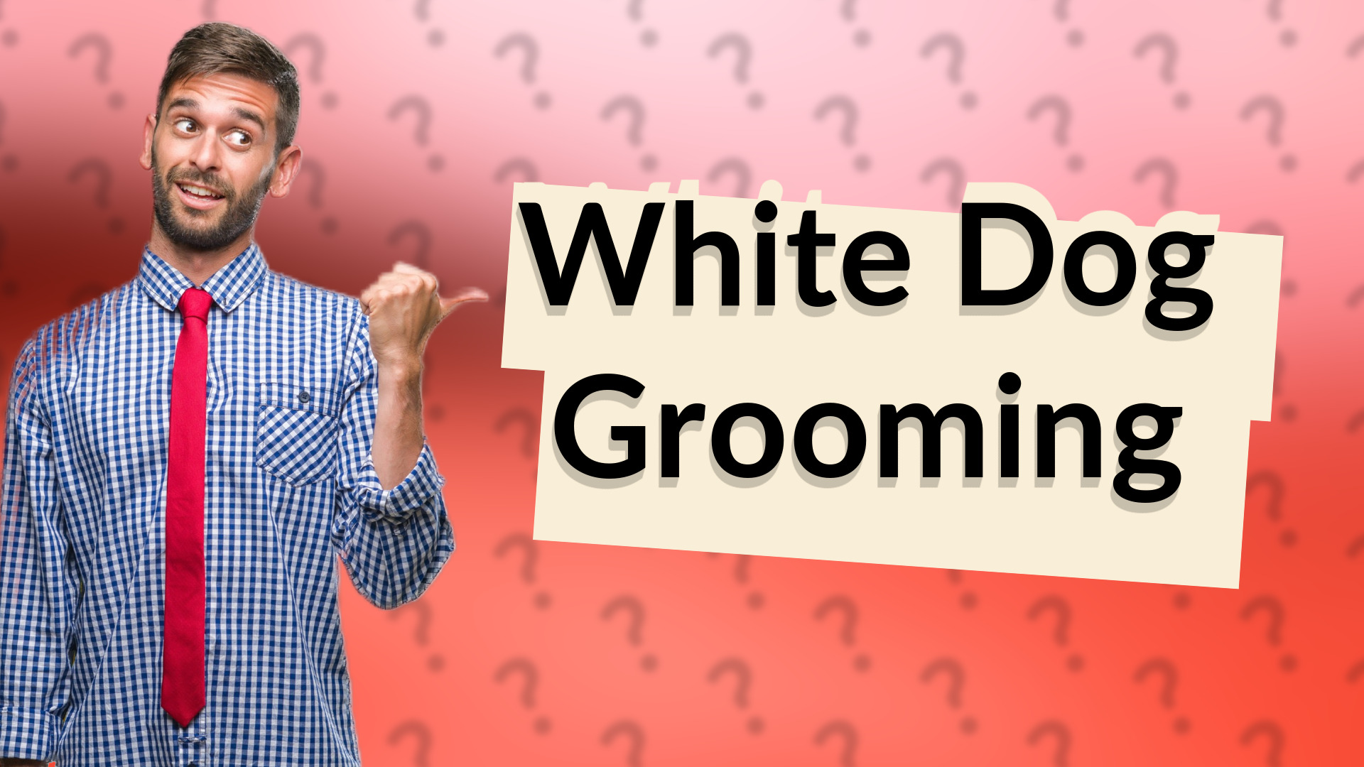 White Dog Grooming