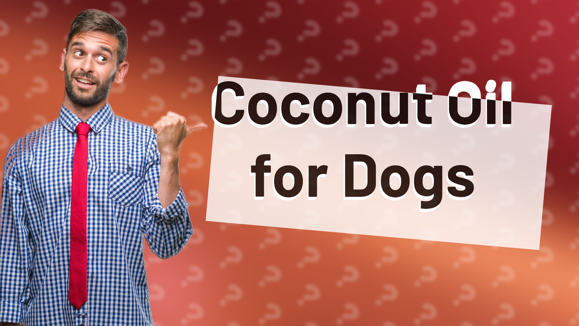 Coconut Oil for Dogs