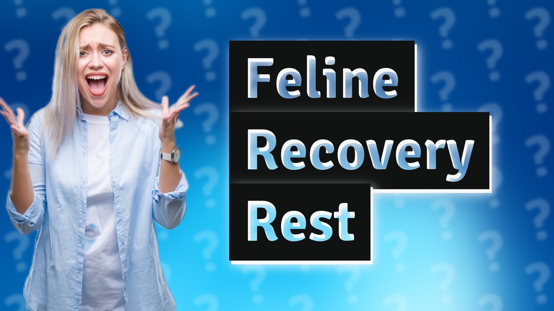 Feline Recovery Rest