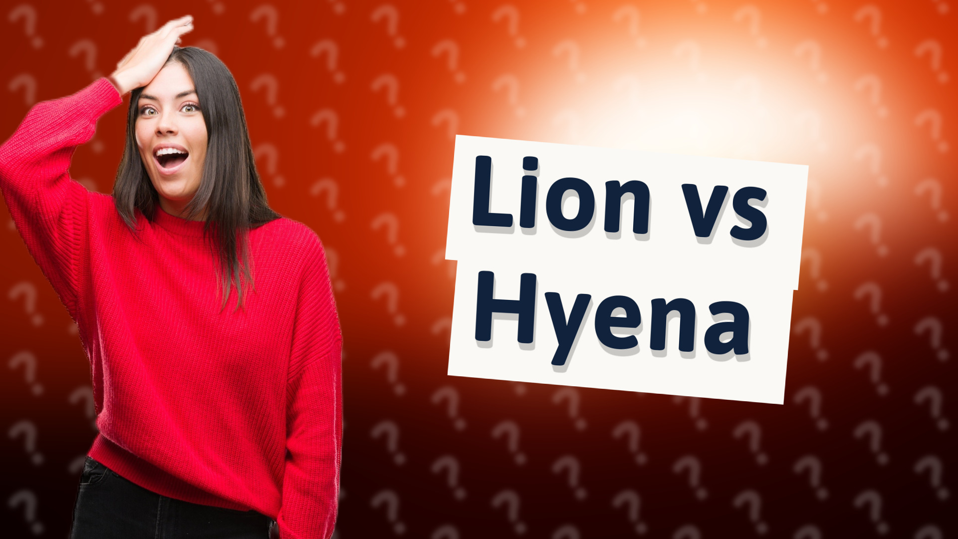 Lion vs Hyena