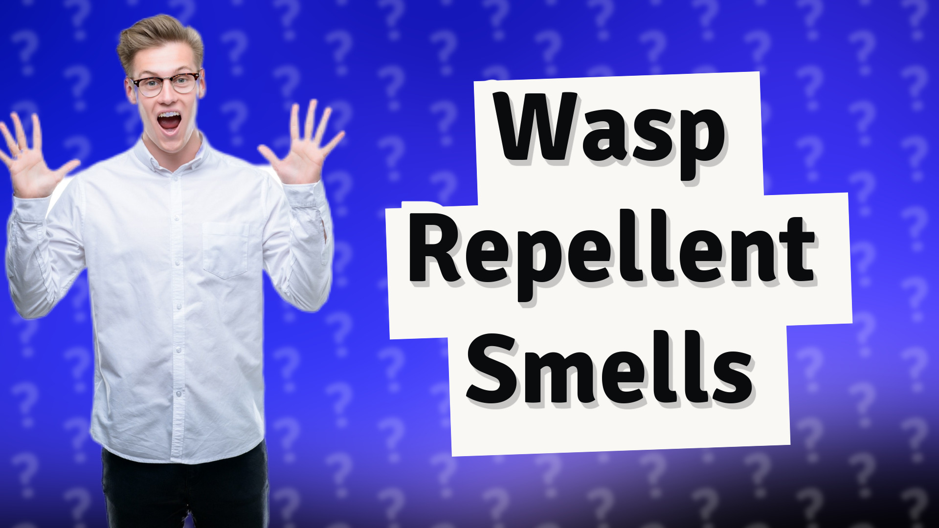 Wasp Repellent Smells