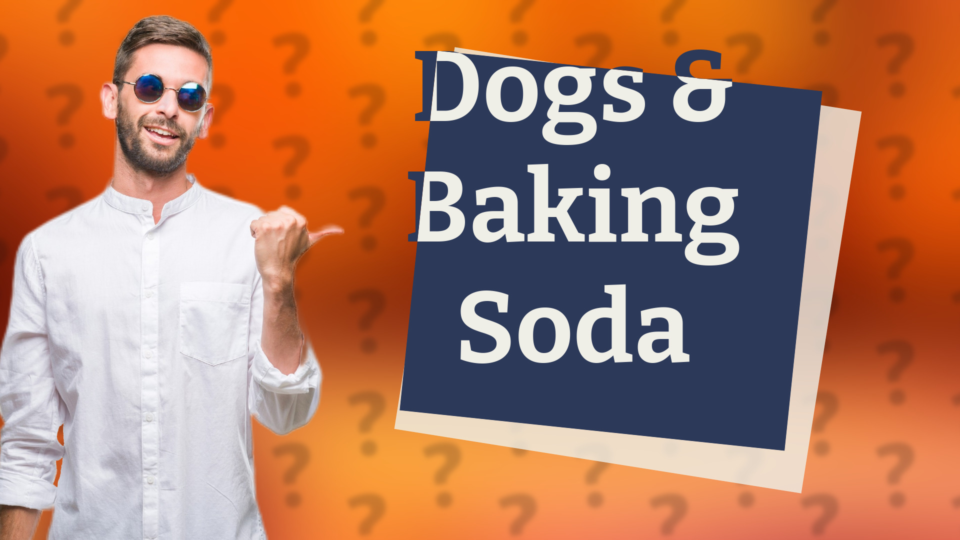 Dogs & Baking Soda