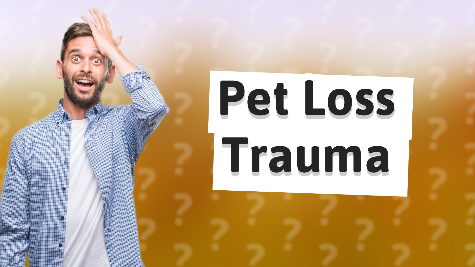 Pet Loss Trauma